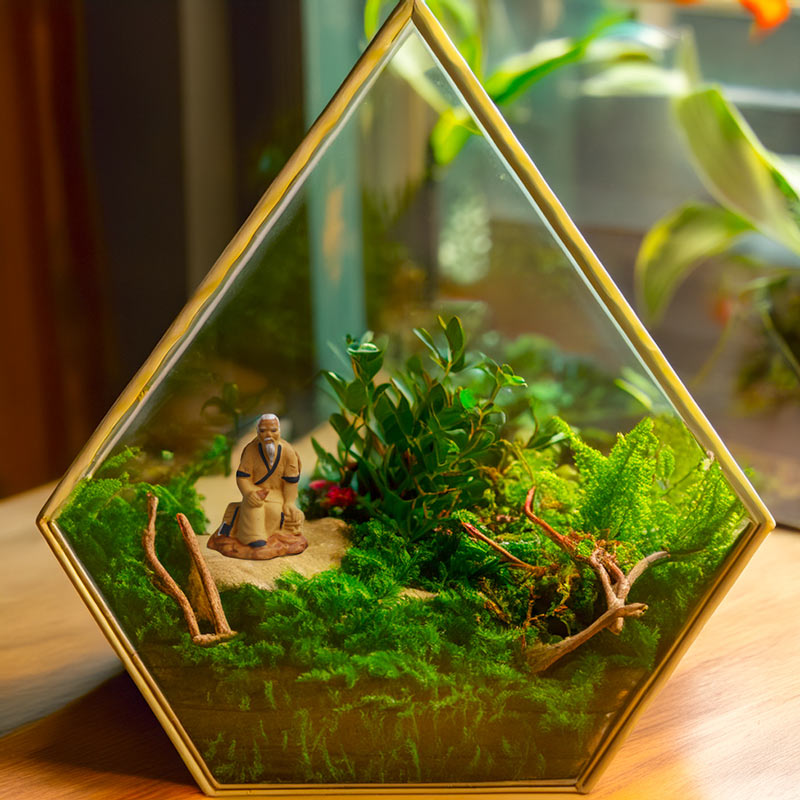 A miniature mudman figurine finds tranquility amidst a lush green oasis inside a geometric terrarium, inviting viewers to experience a moment of peace and contemplation.