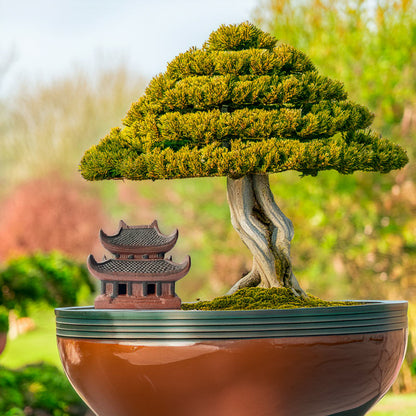 This charming miniature pagoda, crafted from earthy brown ceramic, stands proudly beside a majestic bonsai tree, creating a harmonious blend of nature and spirituality.