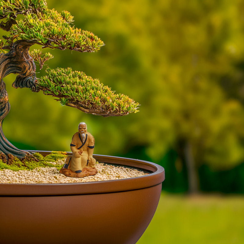  A miniature woodcutter figurine finds solace under the shade of a bonsai tree, his serene presence adding a touch of tranquility to the miniature garden.