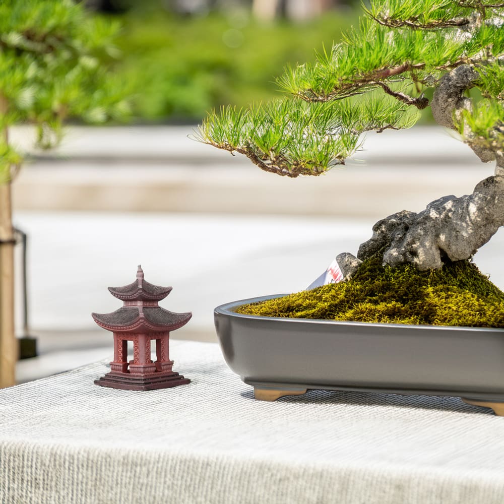 A small, red pagoda stands next to a bonsai tree in a serene setting. The pagoda complements the bonsai's natural beauty, adding a touch of tranquility.