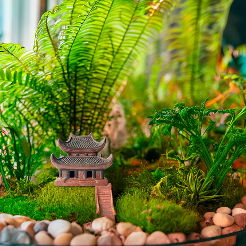 Tucked away amongst verdant ferns and smooth river stones, a miniature ceramic pagoda creates a peaceful sanctuary within this enchanting terrarium.