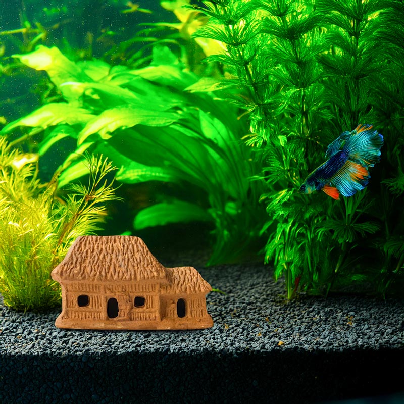 Nestled amongst vibrant green aquatic plants in a sparkling aquarium, this miniature ceramic house provides a charming shelter for fish and adds a touch of tranquility to your underwater world.