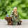 Perched on a rugged rock, a miniature old man figurine, his hand raised in contemplation, embodies the spirit of wisdom and serenity, bringing a touch of Zen to your bonsai.