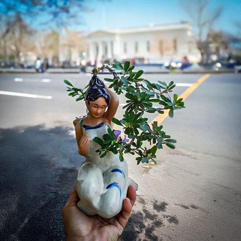  A hand holds the figurine bonsai planter on a city street. A portable statue bonsai planter.