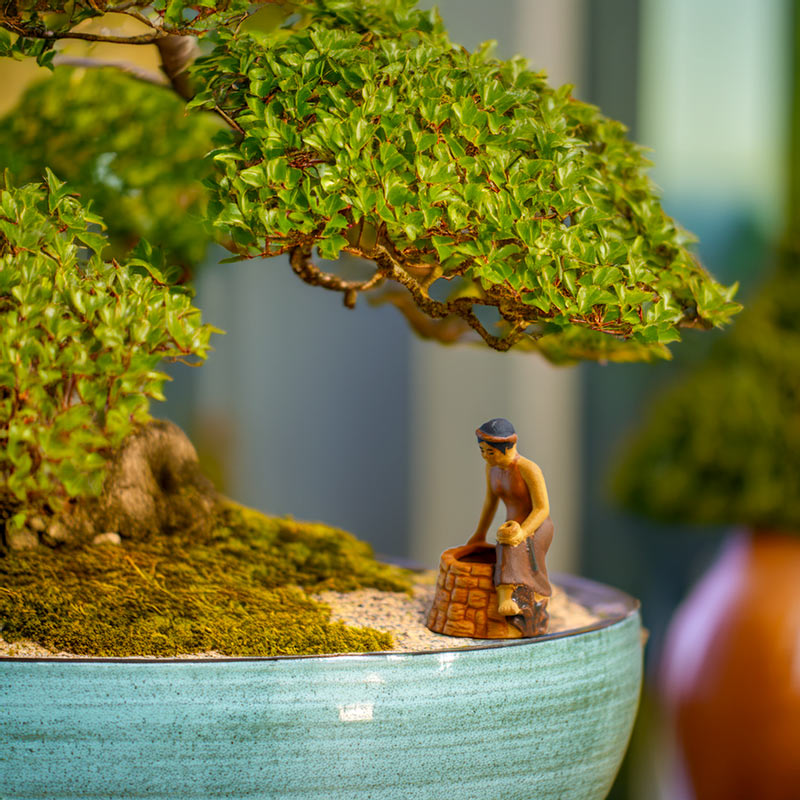 Nestled beneath the delicate branches of a bonsai tree, a miniature Tam figurine sits by a well, bringing a touch of Vietnamese tradition to this miniature landscape.ature landscape.