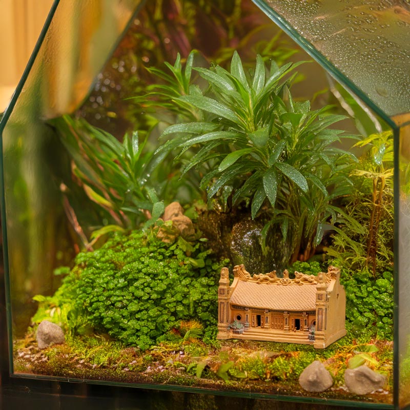 Peeking through lush green foliage in a glass terrarium, a miniature Vietnamese house creates a sense of wonder and enchantment, transporting you to a miniature world of tranquility.