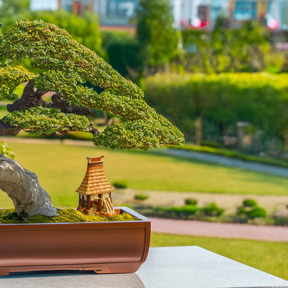 Set against a backdrop of a meticulously crafted bonsai, a tiny ceramic Rong house rests serenely, creating a miniature landscape that evokes peace and tranquility.